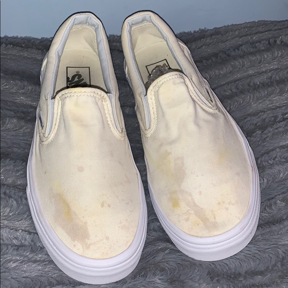 Cream Vans